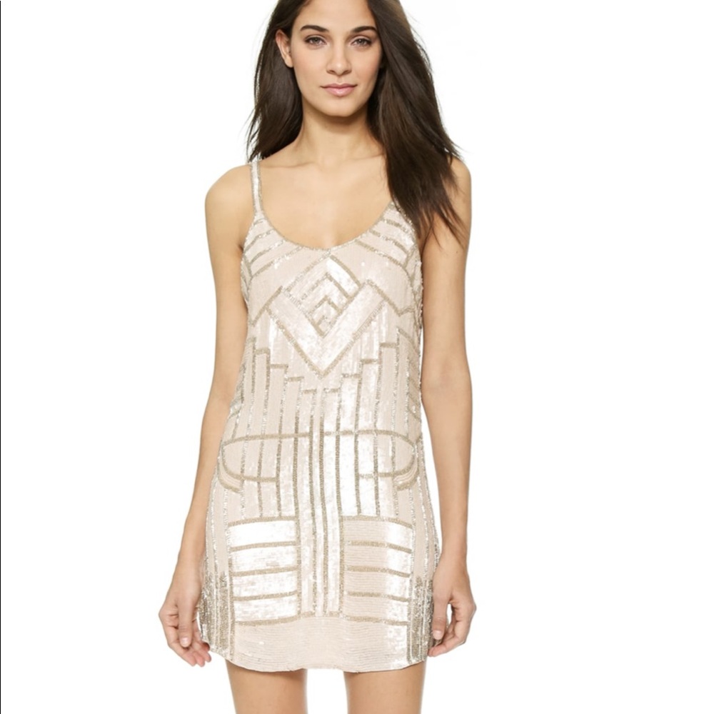 Parker Hayden Dress